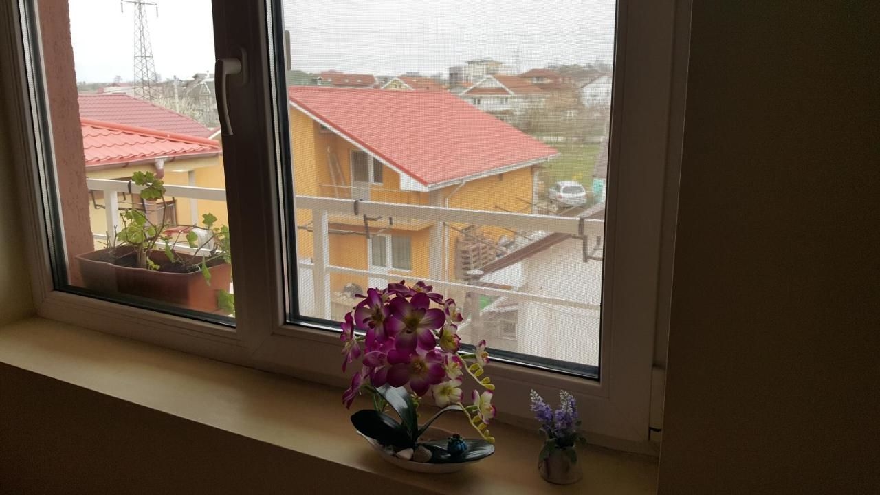 Гостевой дом Vila Liz Eforie Nord Эфорие-Норд